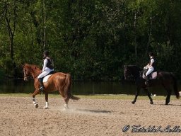 img-98561-566